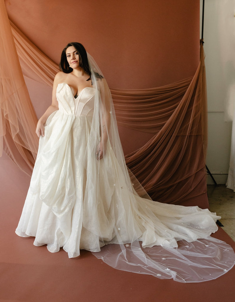 Astra Veil - Carol Hannah