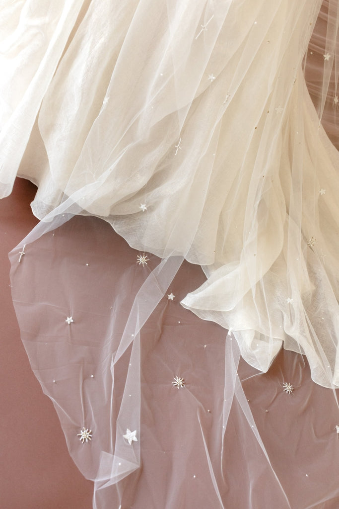 Astra Veil - Carol Hannah