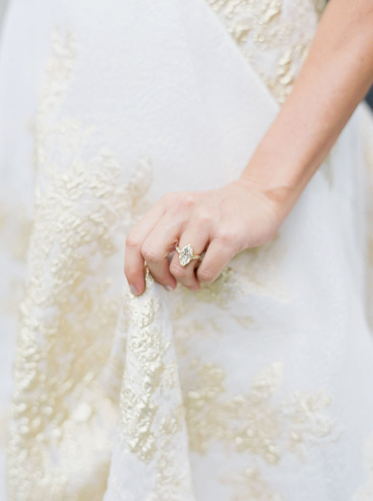 Centaurea - Shop Carol Hannah